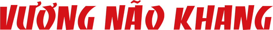 logo vnk.png
